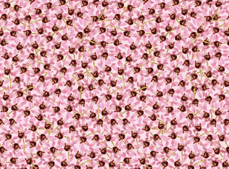 Обои для стен Wall&Deco Life WDJ0602