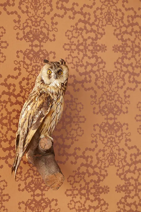 Обои для стен Eijffinger Luz 330400