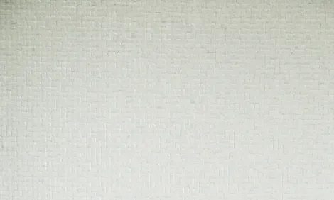 Обои для стен Arte Monsoon 75100