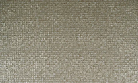 Обои для стен Arte Monsoon 75102