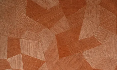 Обои для стен Arte Monsoon 75307