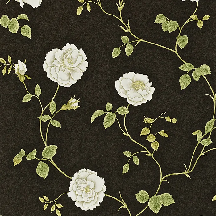 Обои для стен Sanderson A Painter's Garden DAPGRO104