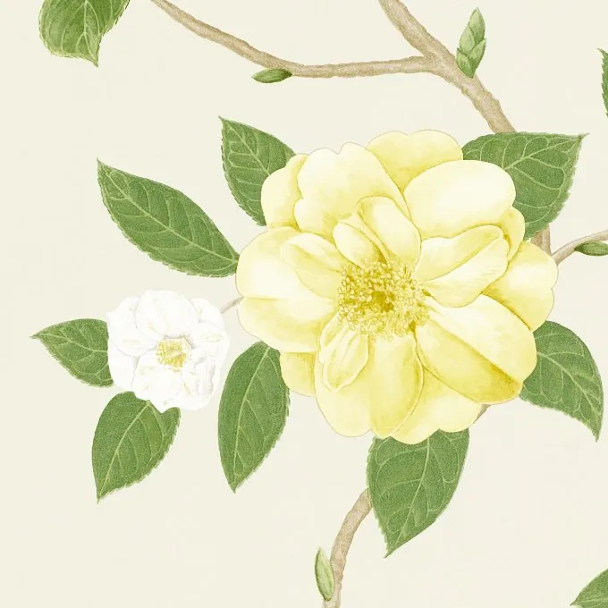 Обои для стен Sanderson Voyage of discovery 213377