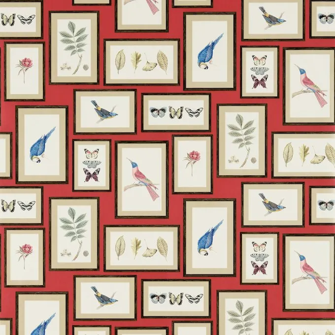 Обои для стен Sanderson Voyage of discovery 213398