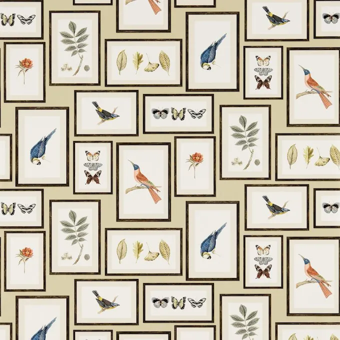 Обои для стен Sanderson Voyage of discovery 213399