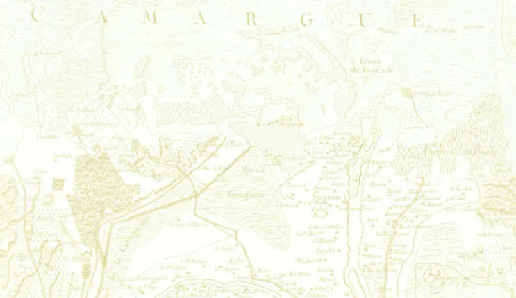 Обои для стен Christian Lacroix Air de Paris PCL00204