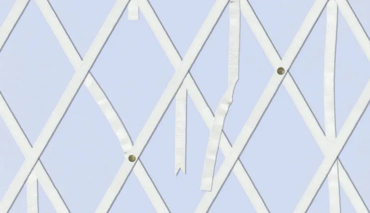 Обои для стен Christian Lacroix Air de Paris PCL00303