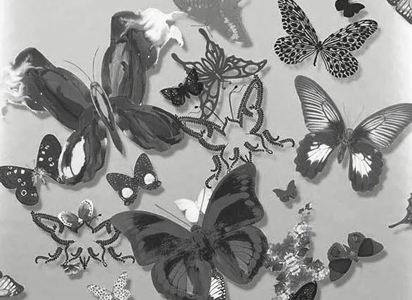 Обои для стен Christian Lacroix Carnets Andalous PCL00806