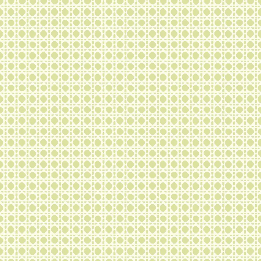 Обои для стен Carey Lind Vibe EB2008