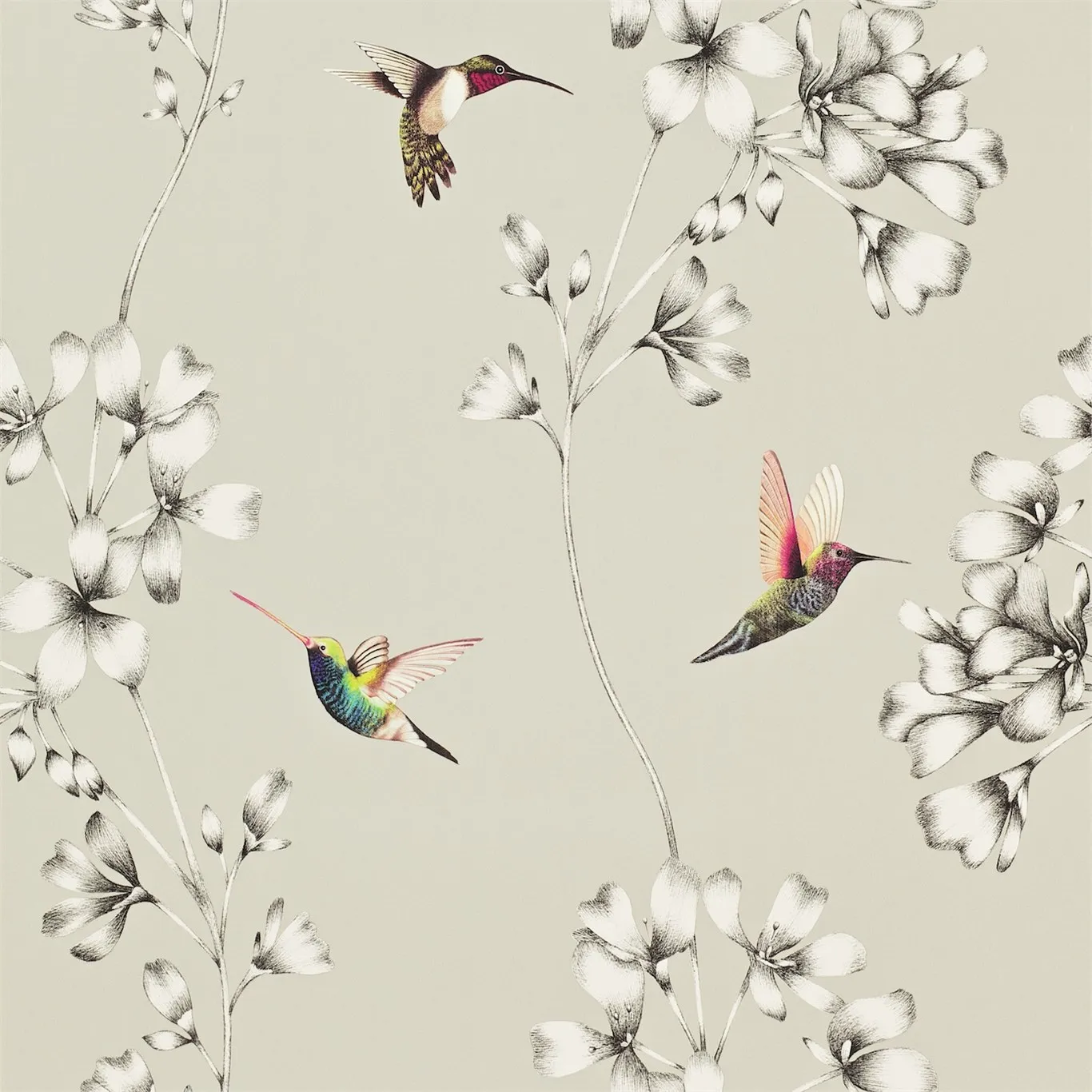 Обои для стен Harlequin Amazilia 111062