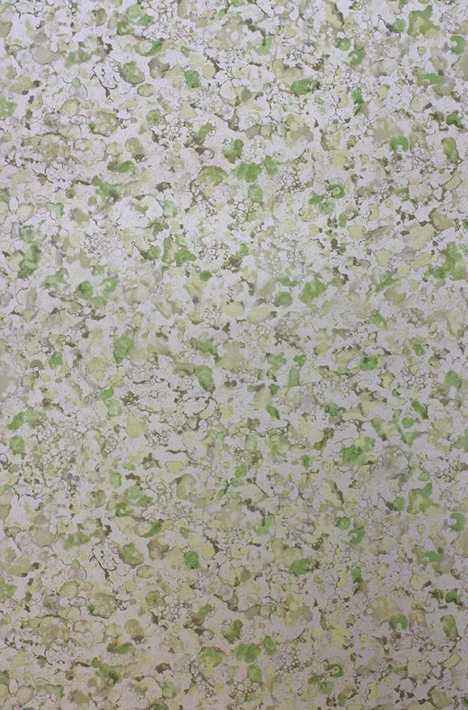 Обои для стен Osborne & Little Pasha W6751-05