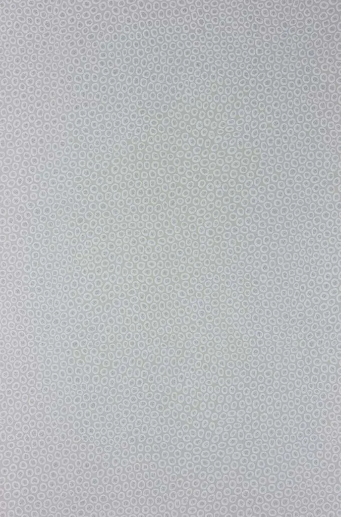 Обои для стен Osborne & Little Pasha W6755-02