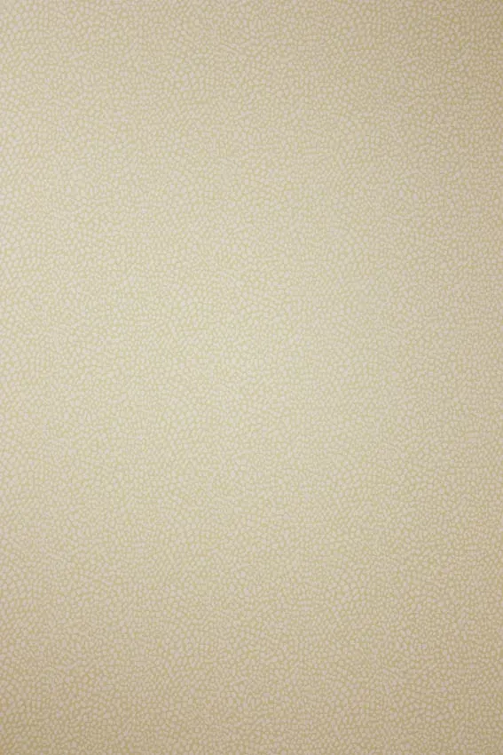 Обои для стен Osborne & Little Persian Garden W6491-01