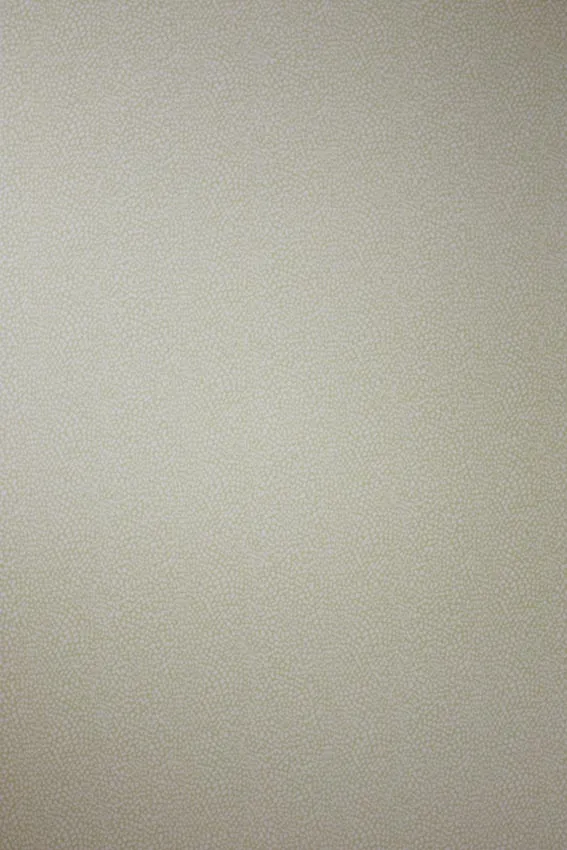 Обои для стен Osborne & Little Persian Garden W6491-04