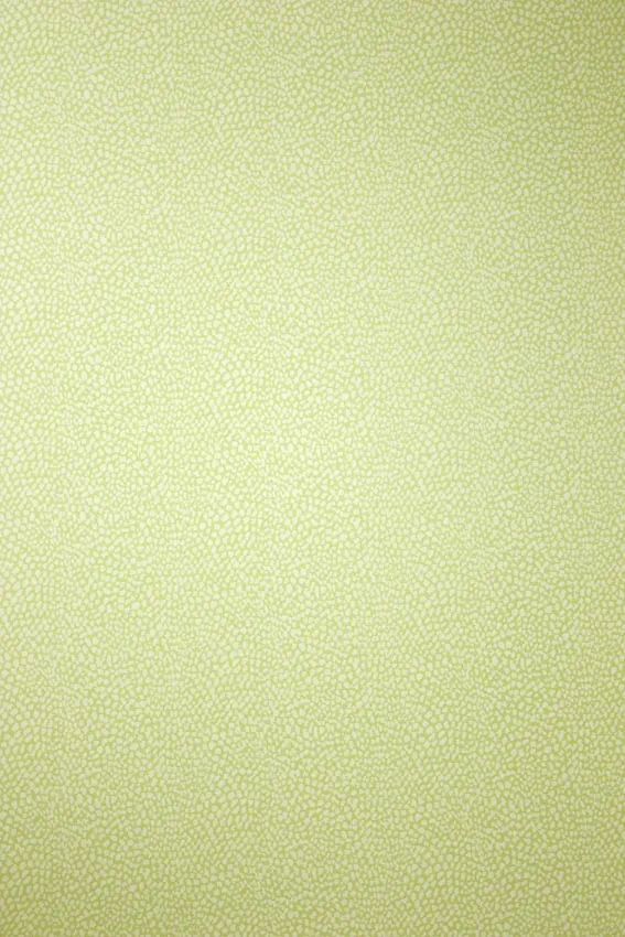 Обои для стен Osborne & Little Persian Garden W6491-05