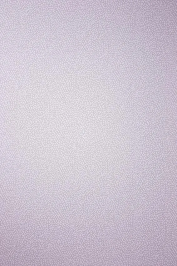 Обои для стен Osborne & Little Persian Garden W6491-07