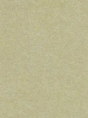 Обои для стен Osborne & Little Wallpaper Album 6 CW5410-11