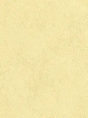 Обои для стен Osborne & Little Wallpaper Album 6 CW5410-31