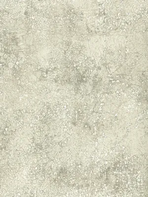 Обои для стен Osborne & Little Wallpaper Album 6 CW6006-03