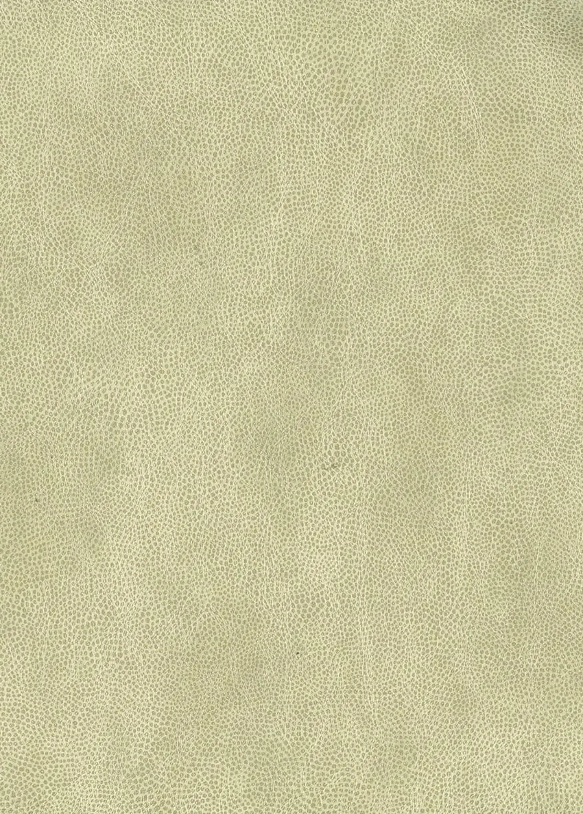 Обои для стен Osborne & Little Metropolis Vinyls 2 W6331-02