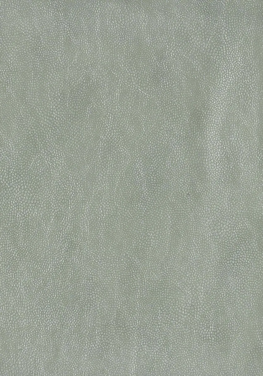 Обои для стен Osborne & Little Metropolis Vinyls 2 W6331-04