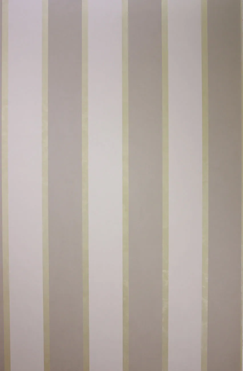 Обои для стен Osborne & Little Metropolis Vinyls 2 W6332-03