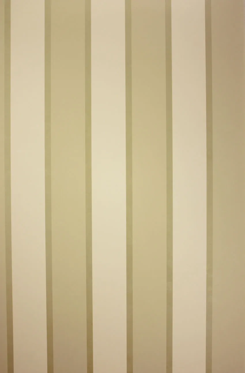 Обои для стен Osborne & Little Metropolis Vinyls 2 W6332-04