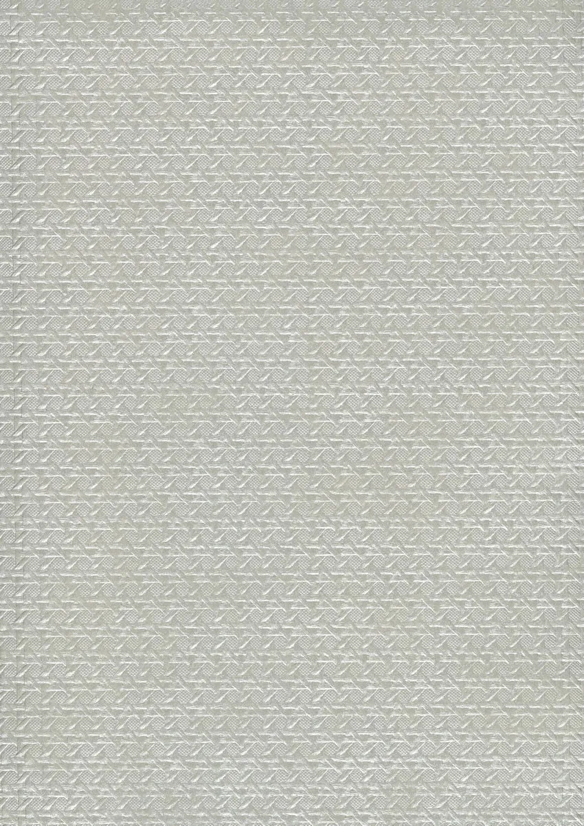 Обои для стен Osborne & Little Rabanna W6341-03