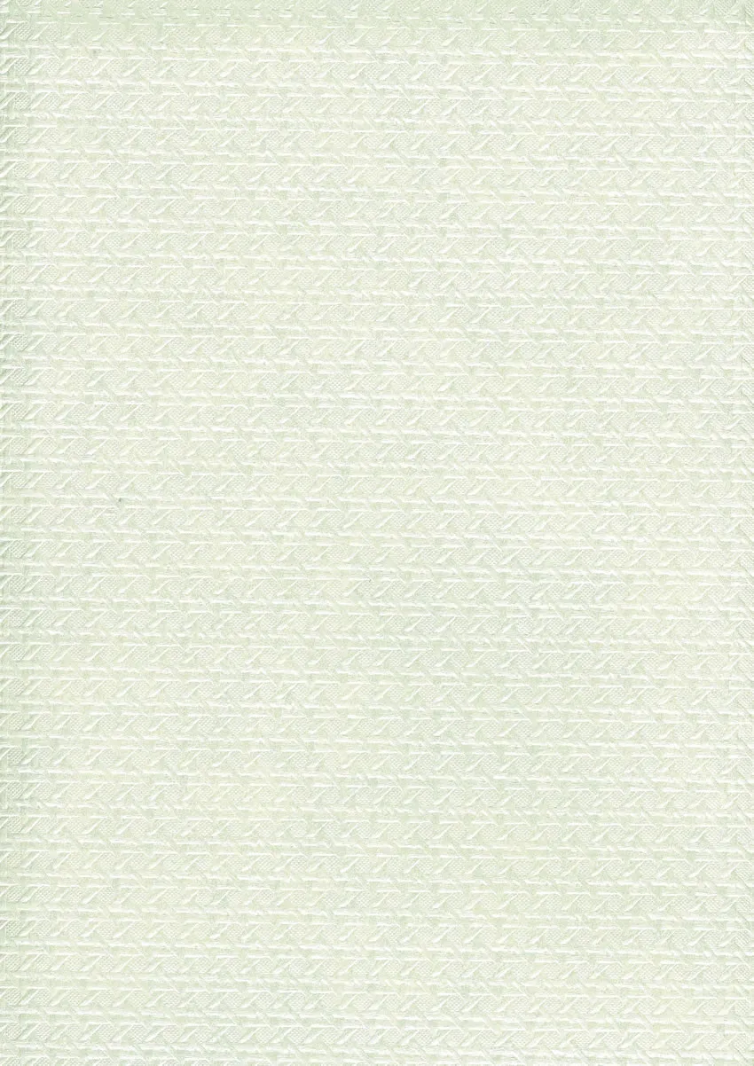 Обои для стен Osborne & Little Rabanna W6341-05