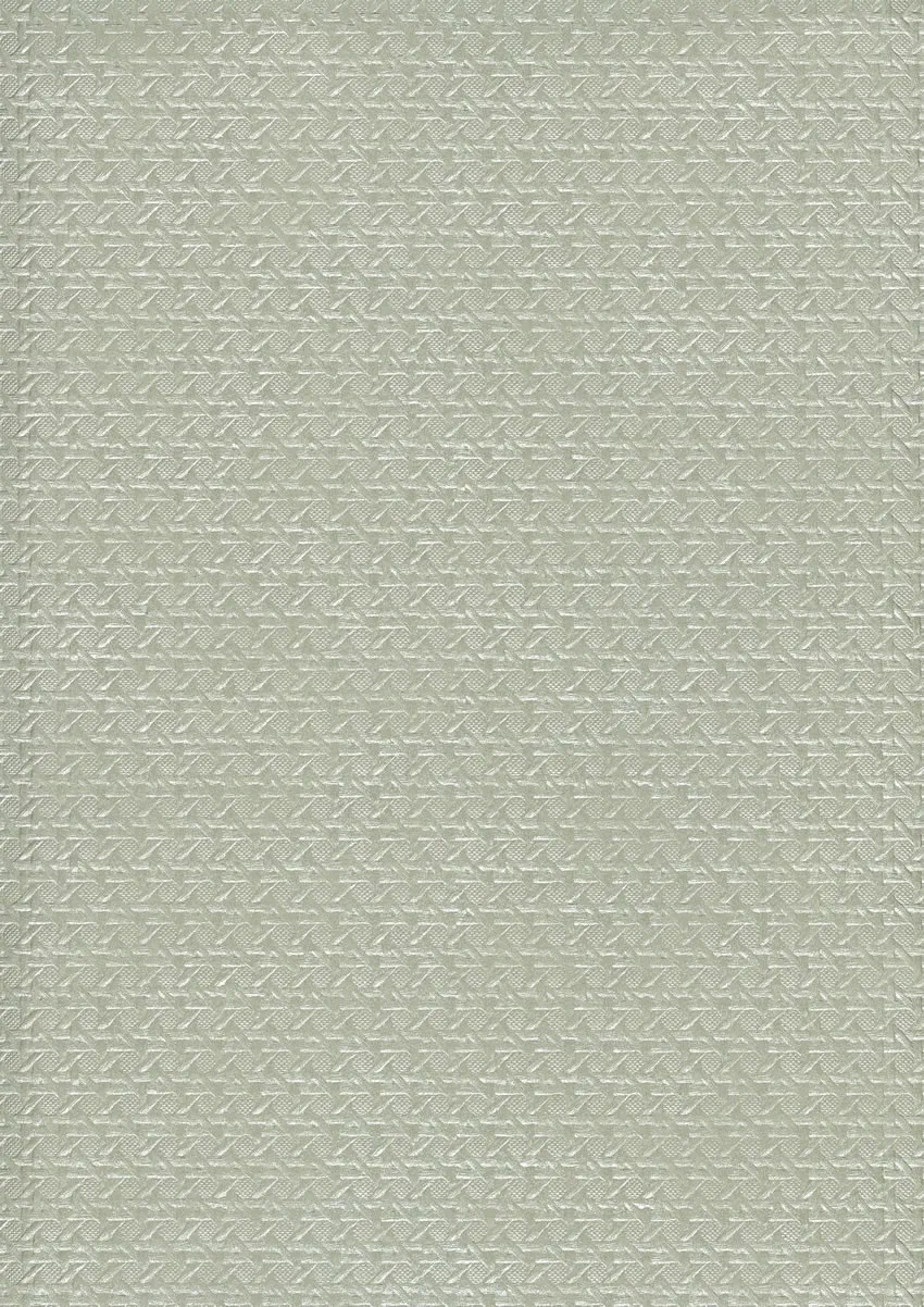 Обои для стен Osborne & Little Rabanna W6341-10