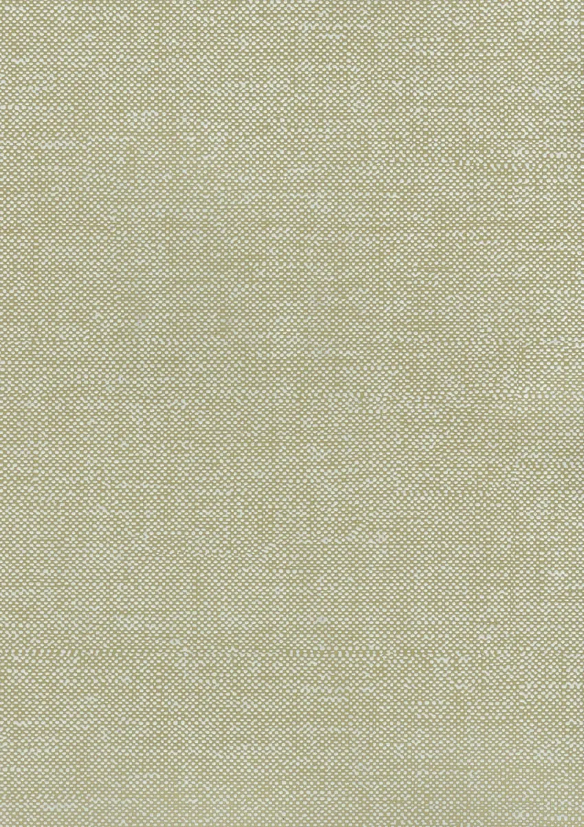 Обои для стен Osborne & Little Rabanna W6343-01