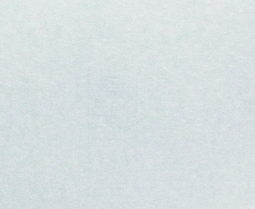 Обои для стен Eijffinger United 331334