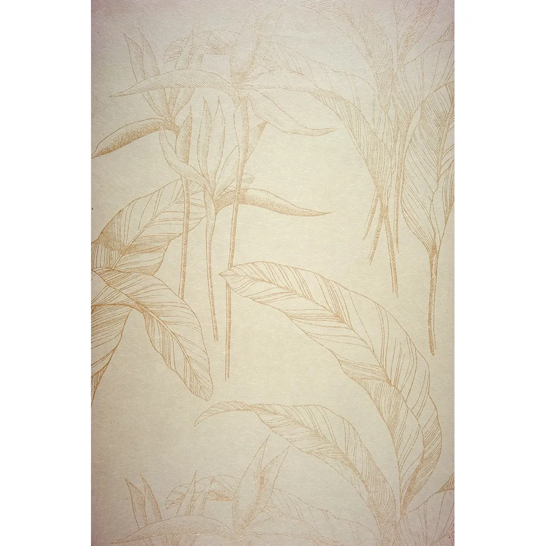 Обои для стен Casadeco Infinity INF24840116