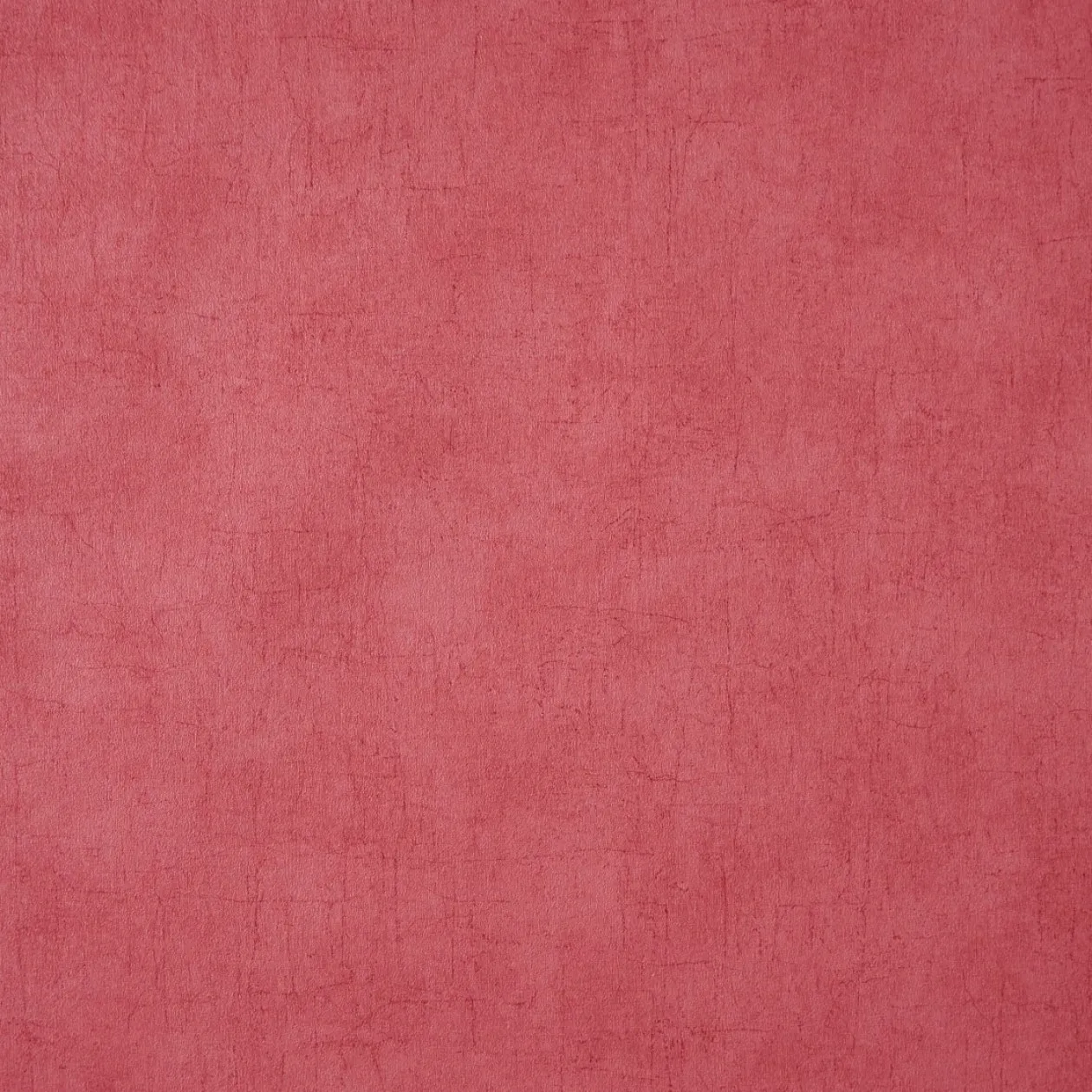 Обои для стен Caselio Curiosity 65214000