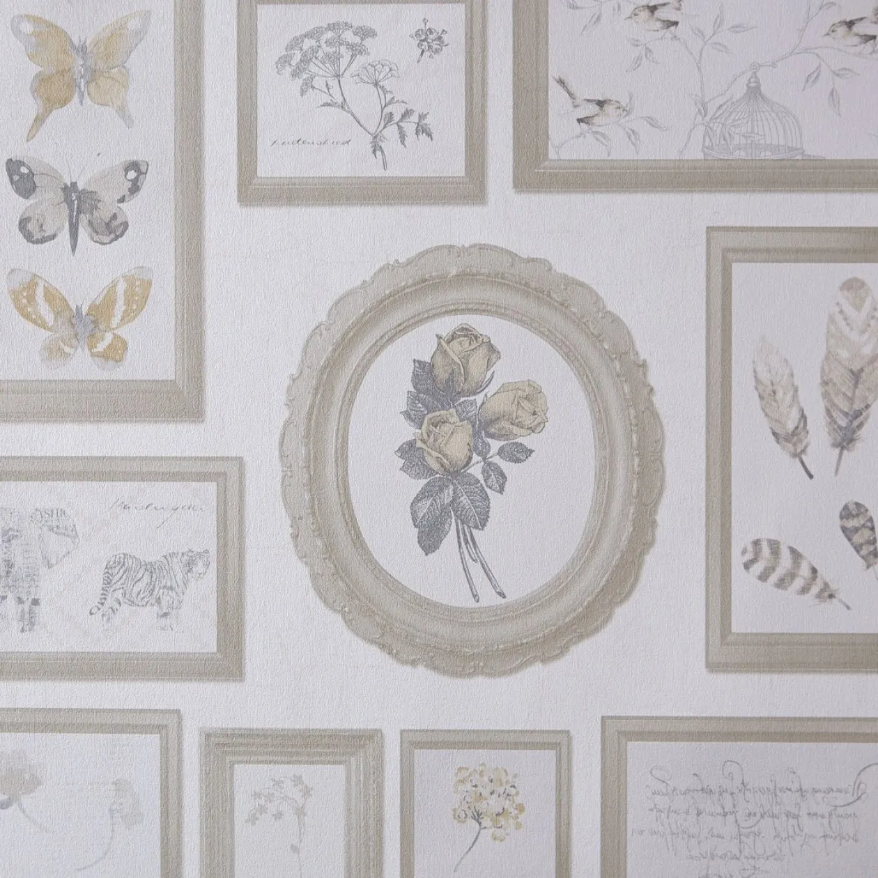 Обои для стен Caselio Curiosity 65421010