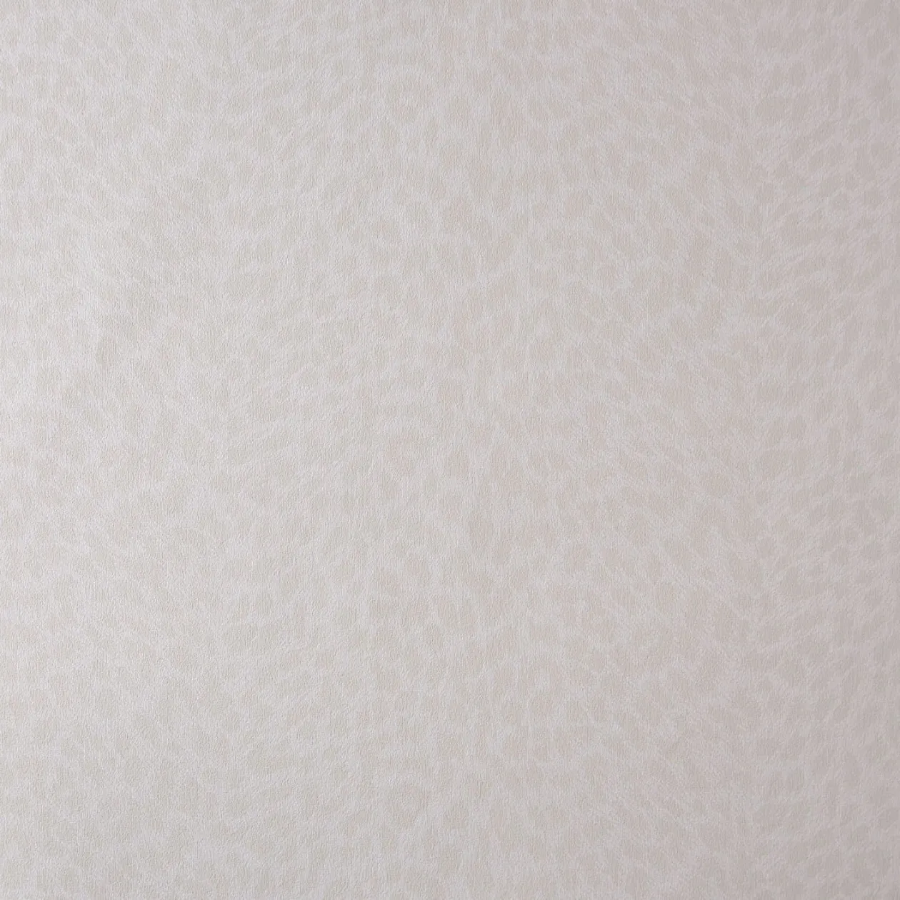 Обои для стен Caselio Curiosity 65430000