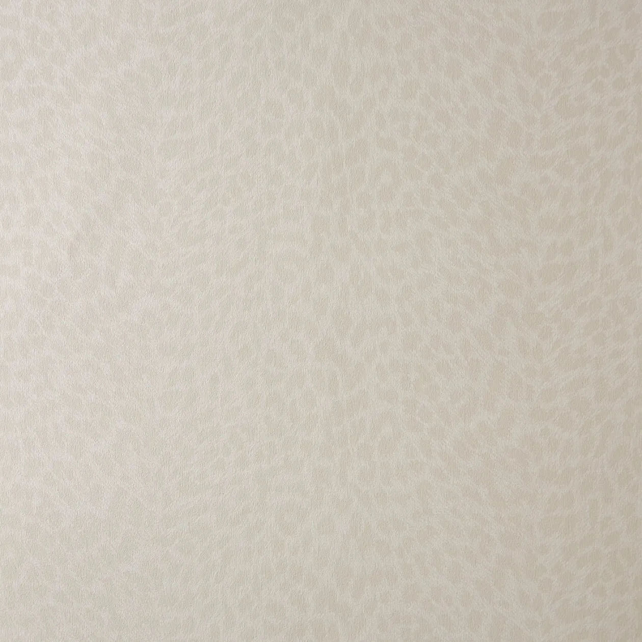 Обои для стен Caselio Curiosity 65431007