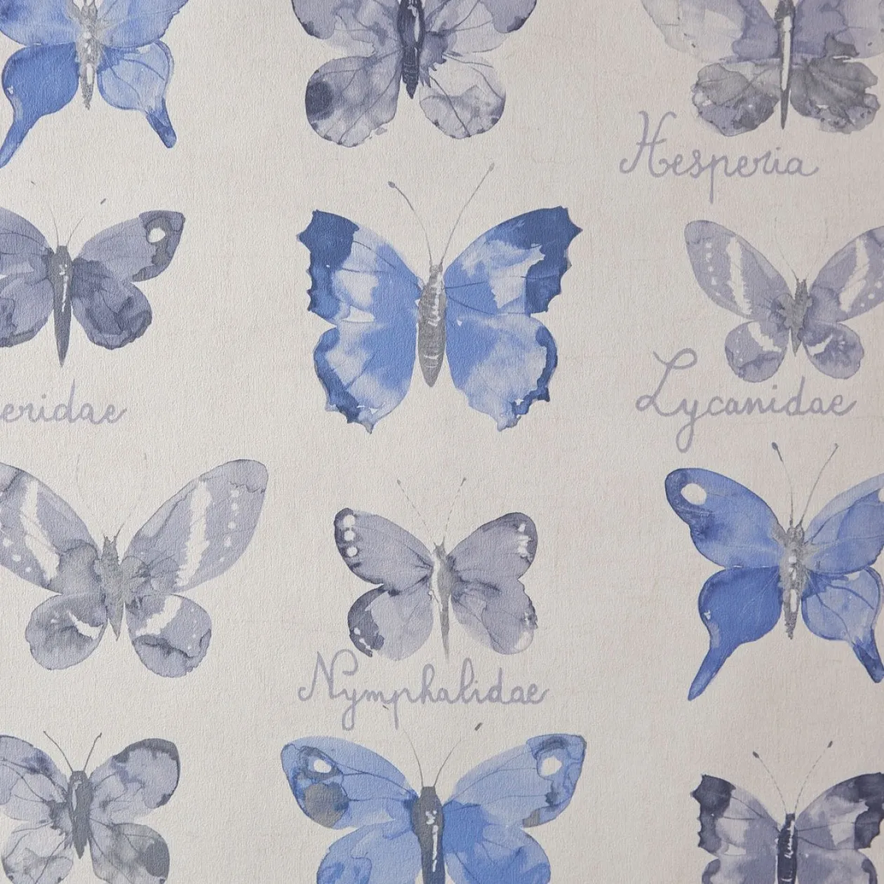 Обои для стен Caselio Curiosity 65476019