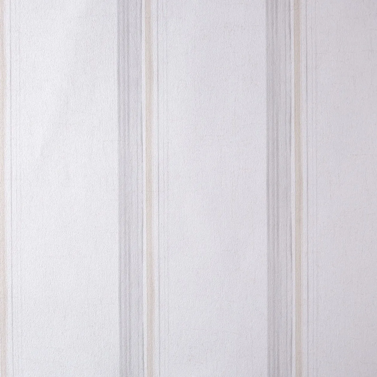 Обои для стен Caselio Curiosity 65491090