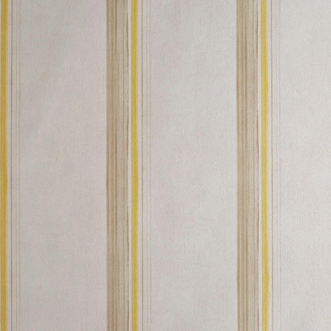 Обои для стен Caselio Curiosity 65492018