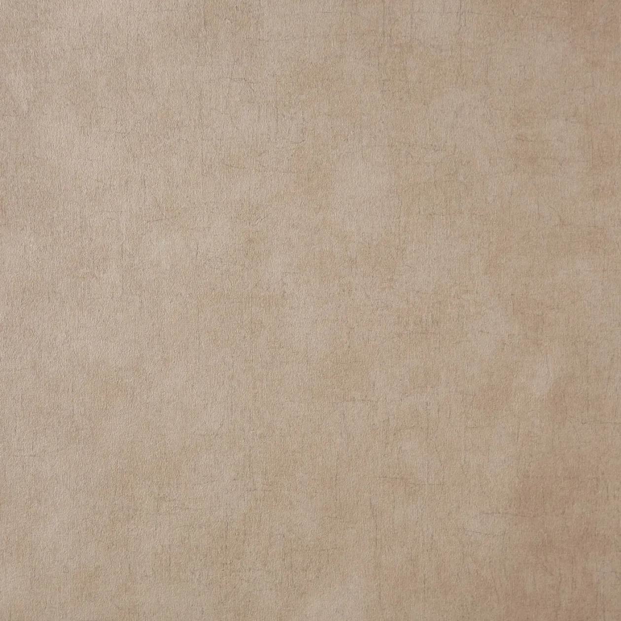 Обои для стен Caselio Curiosity 65501190