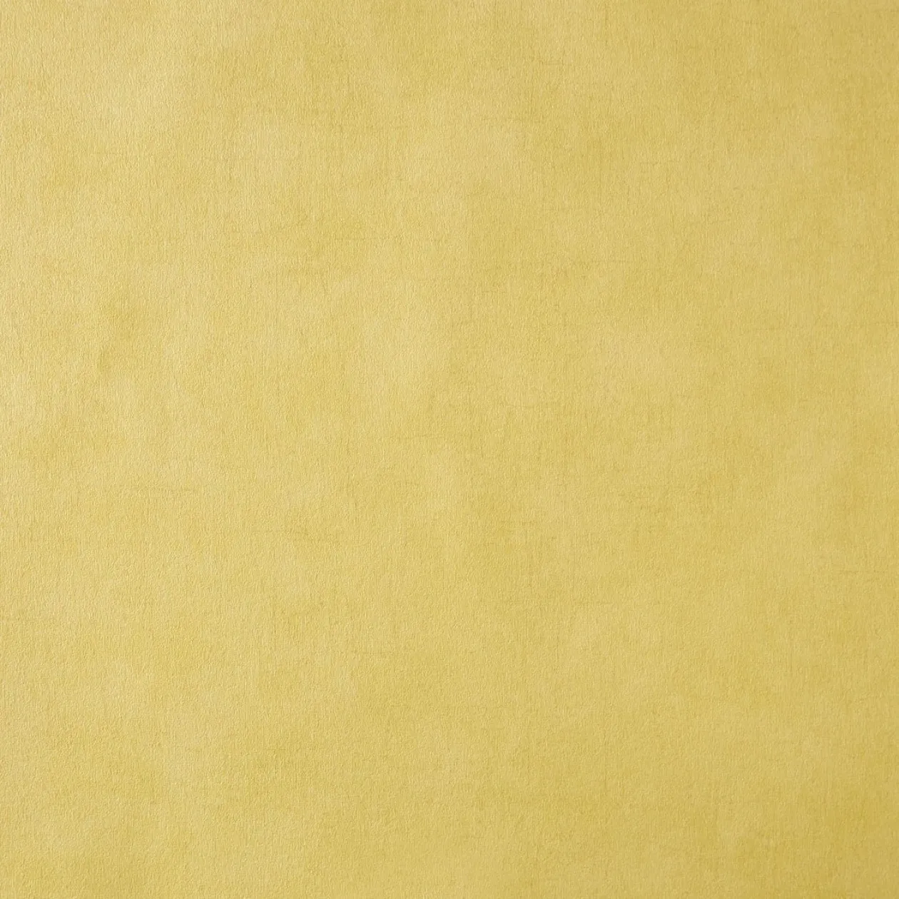 Обои для стен Caselio Curiosity 65502000