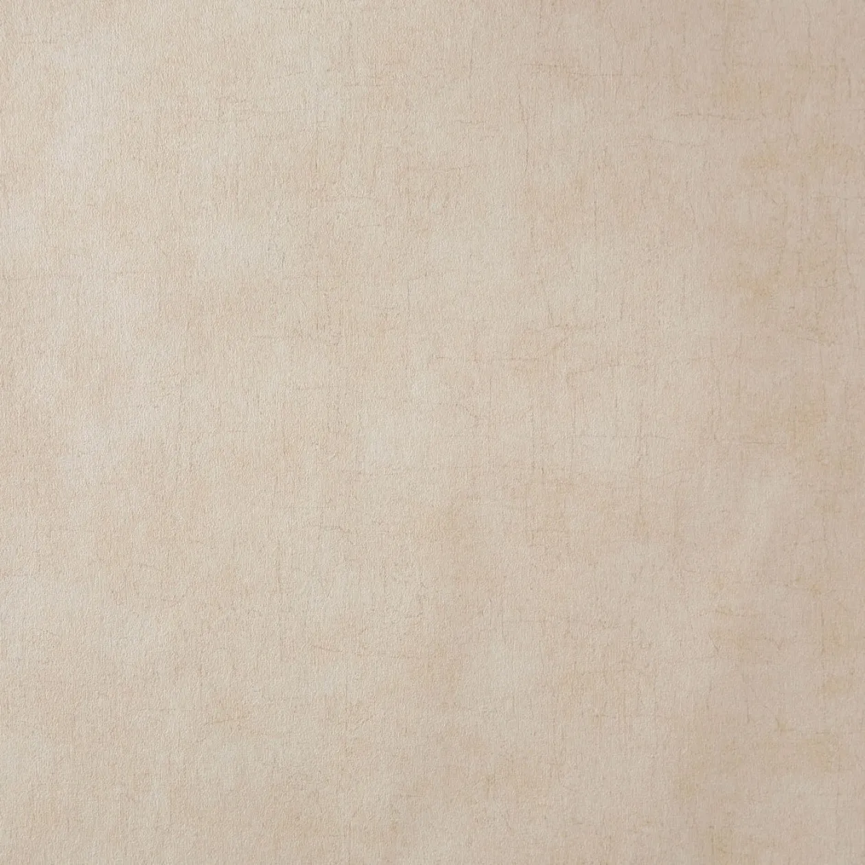 Обои для стен Caselio Curiosity 65502120