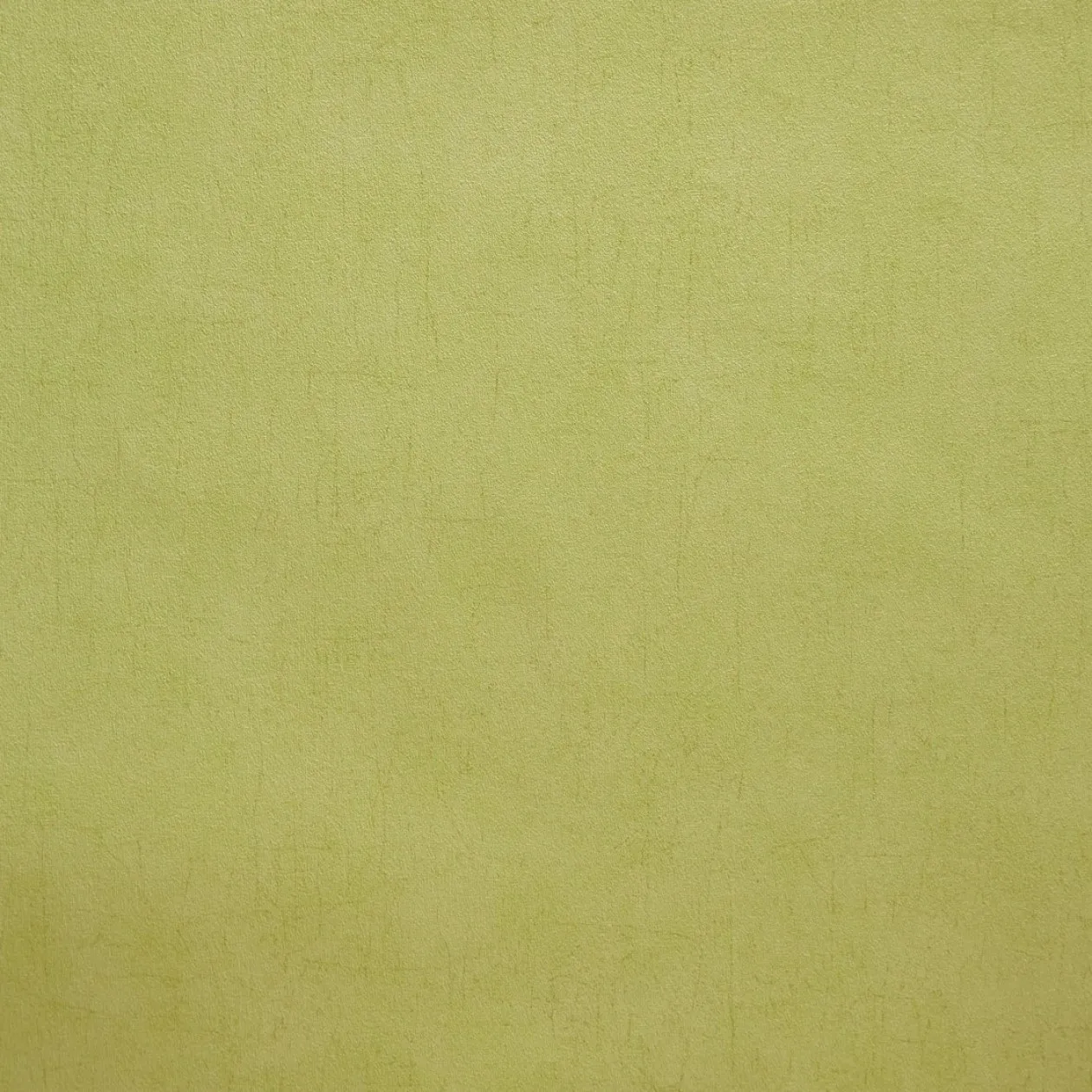 Обои для стен Caselio Curiosity 65507070