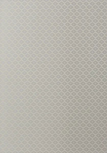 Обои для стен Thibaut Caravan T64169