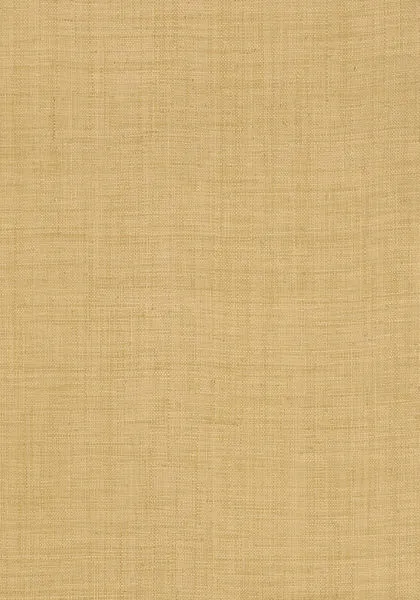 Обои для стен Thibaut Grasscloth Resource T13039