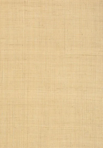 Обои для стен Thibaut Grasscloth Resource T13040