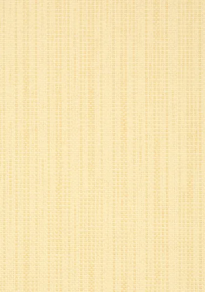 Обои для стен Thibaut Grasscloth Resource T41103
