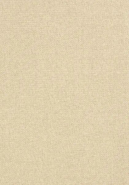 Обои для стен Thibaut Grasscloth Resource T41126
