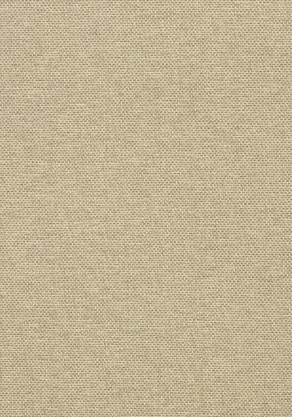 Обои для стен Thibaut Grasscloth Resource T41128